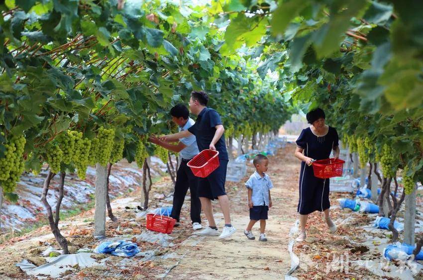 金沙平台怎么把钱隐藏在游戏里面